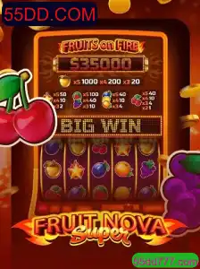Explorando os Detalhes do FruitNovaSuper: Um Jogo Inovador